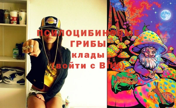 спиды Алзамай
