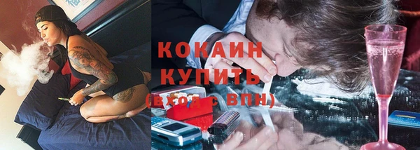 спиды Алзамай